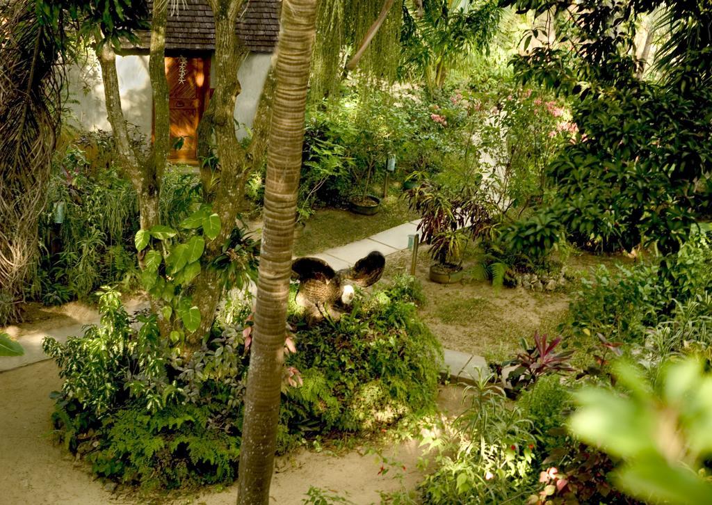 Whistling Bird Negril Exterior photo