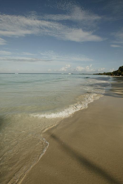Whistling Bird Negril Exterior photo